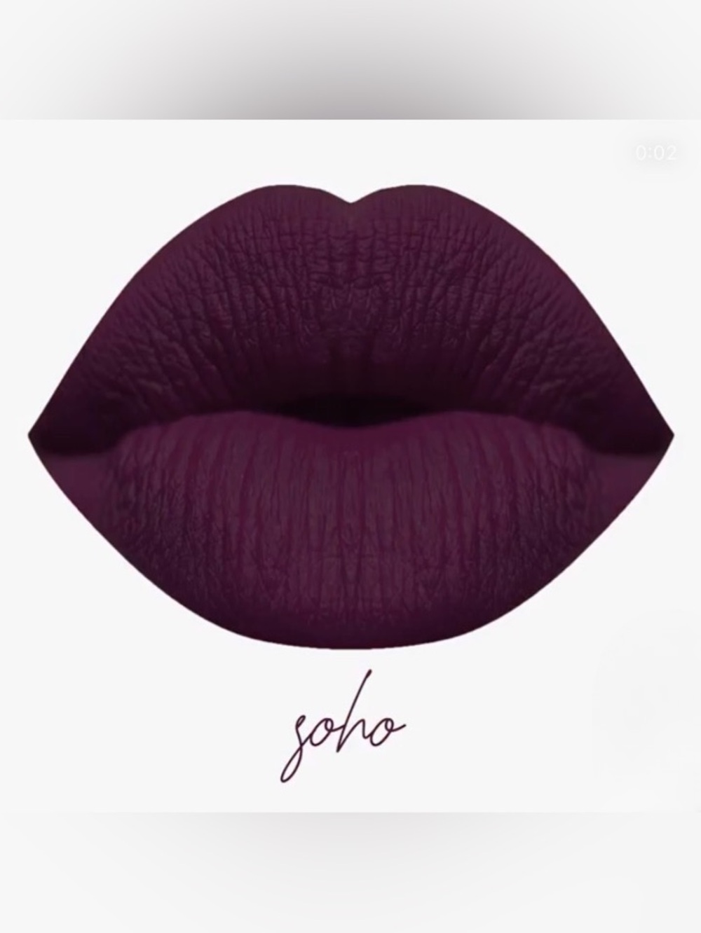 NIB Karity Lip Lock Velvet Liquid Lipstick - Soho